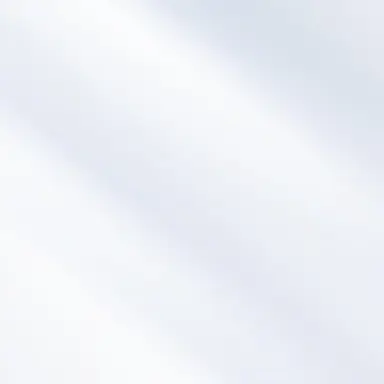 Profile image of Mr. Moon