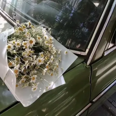 Profile image of 메로