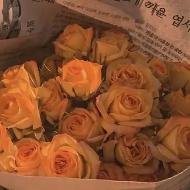 Profile image of 덕개