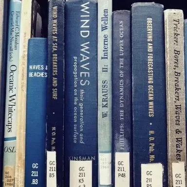 Profile image of 소메