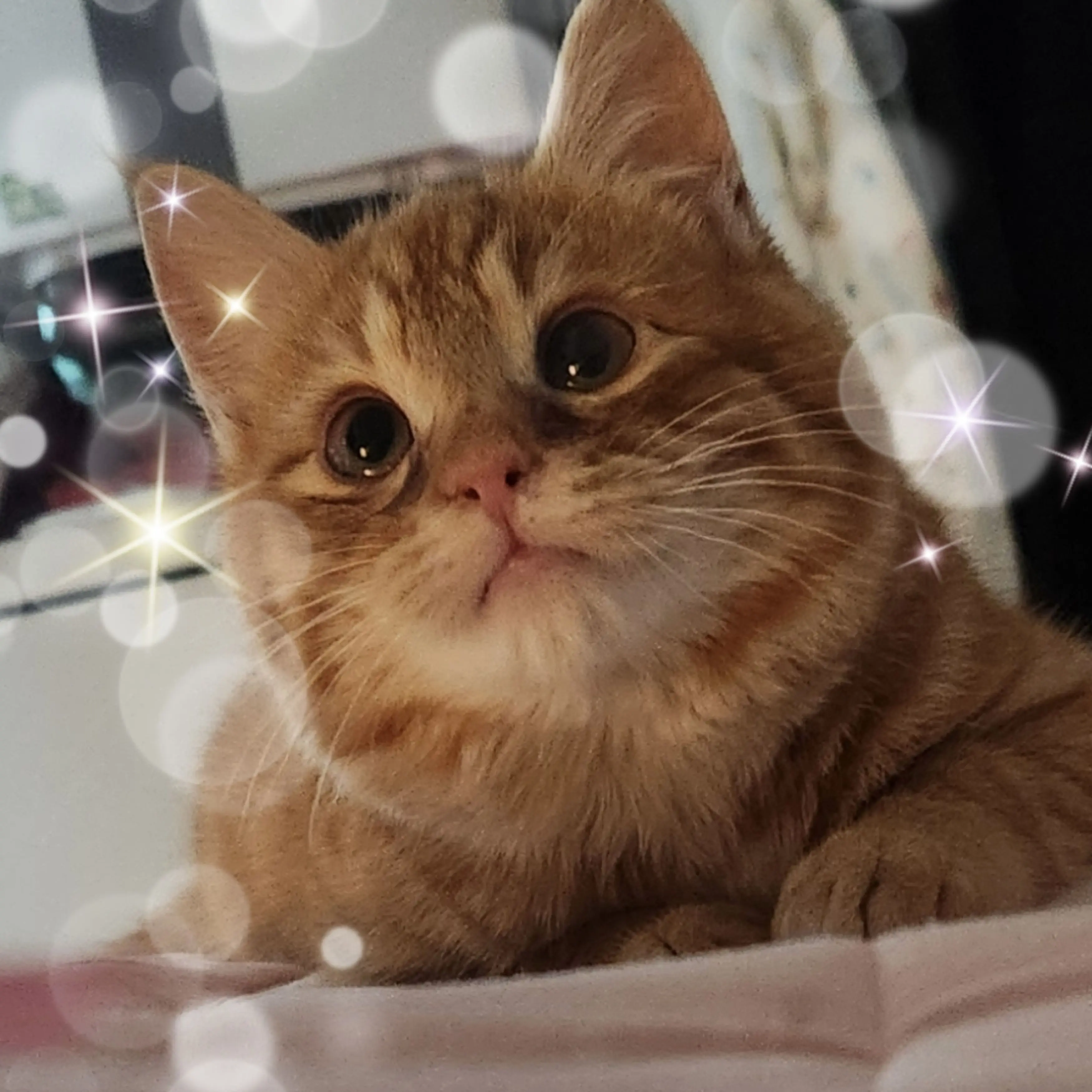 ASDFG790의 날씨요정 (김켈리)