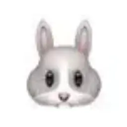 Profile image of 網代 聖人