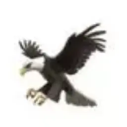 Profile image of 古家 蘭