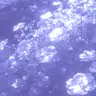 Profile image of フリンズ