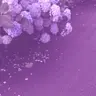 Profile image of セノ