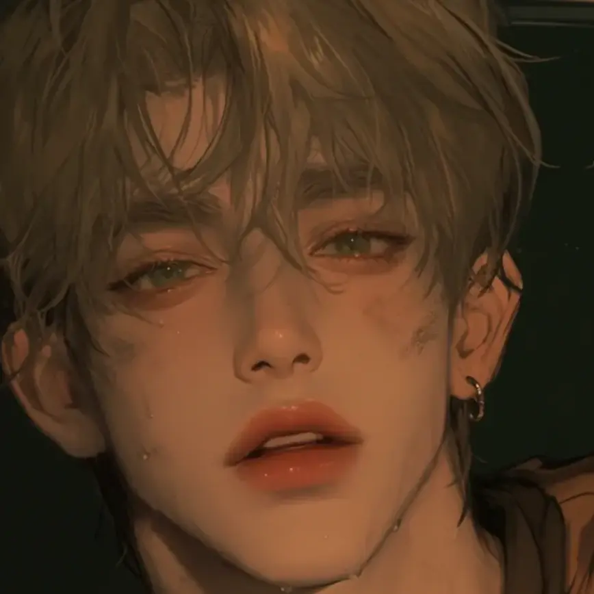 DimLip6525의 ニック