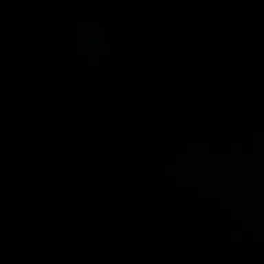 Profile image of 이리오