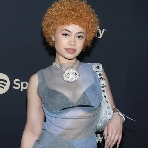 SnarlyMatch8119의 Ice Spice