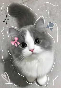 Profile image of ユナ