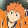 Profile image of Hinata Shouyou