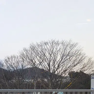 Profile image of モブ男