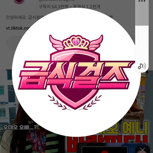 GrimGnat0881의 금식걸즈