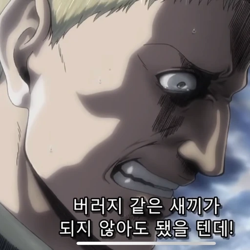 라이너 브라운