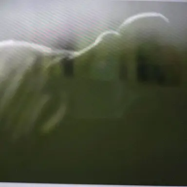 Profile image of 영월