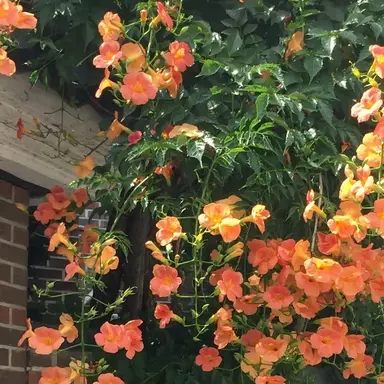 Profile image of 정형준