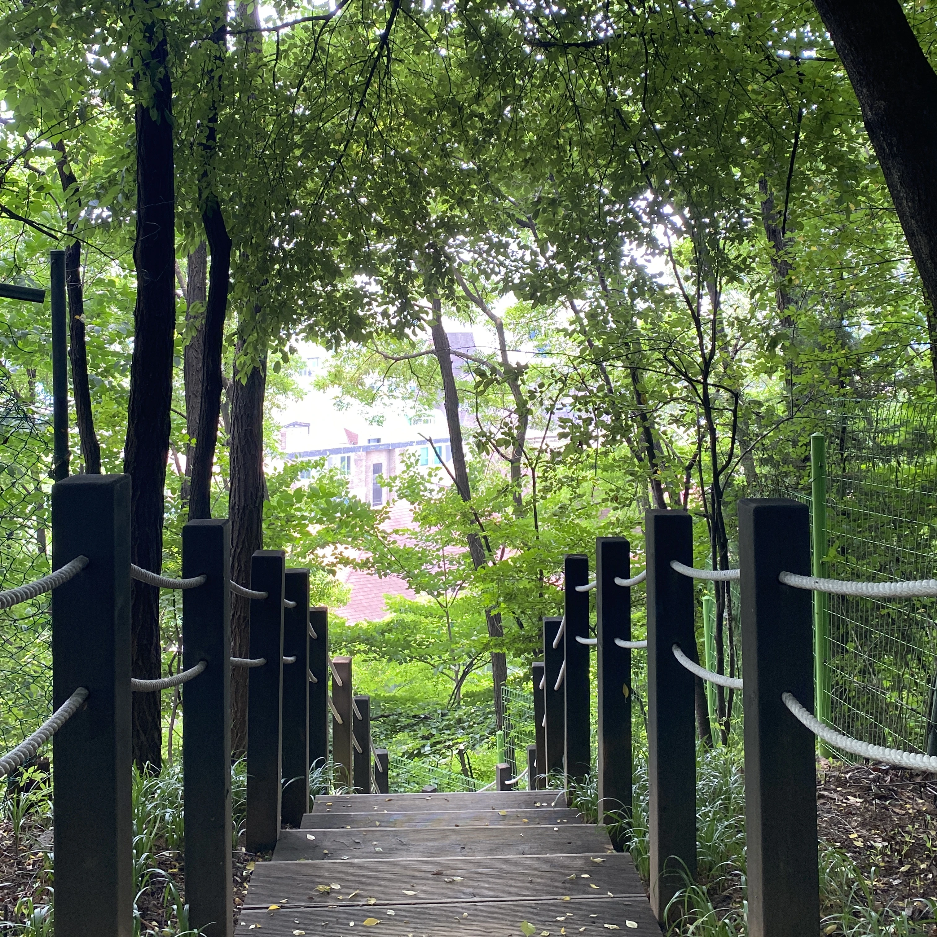 해결