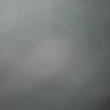 Profile image of Snow Man