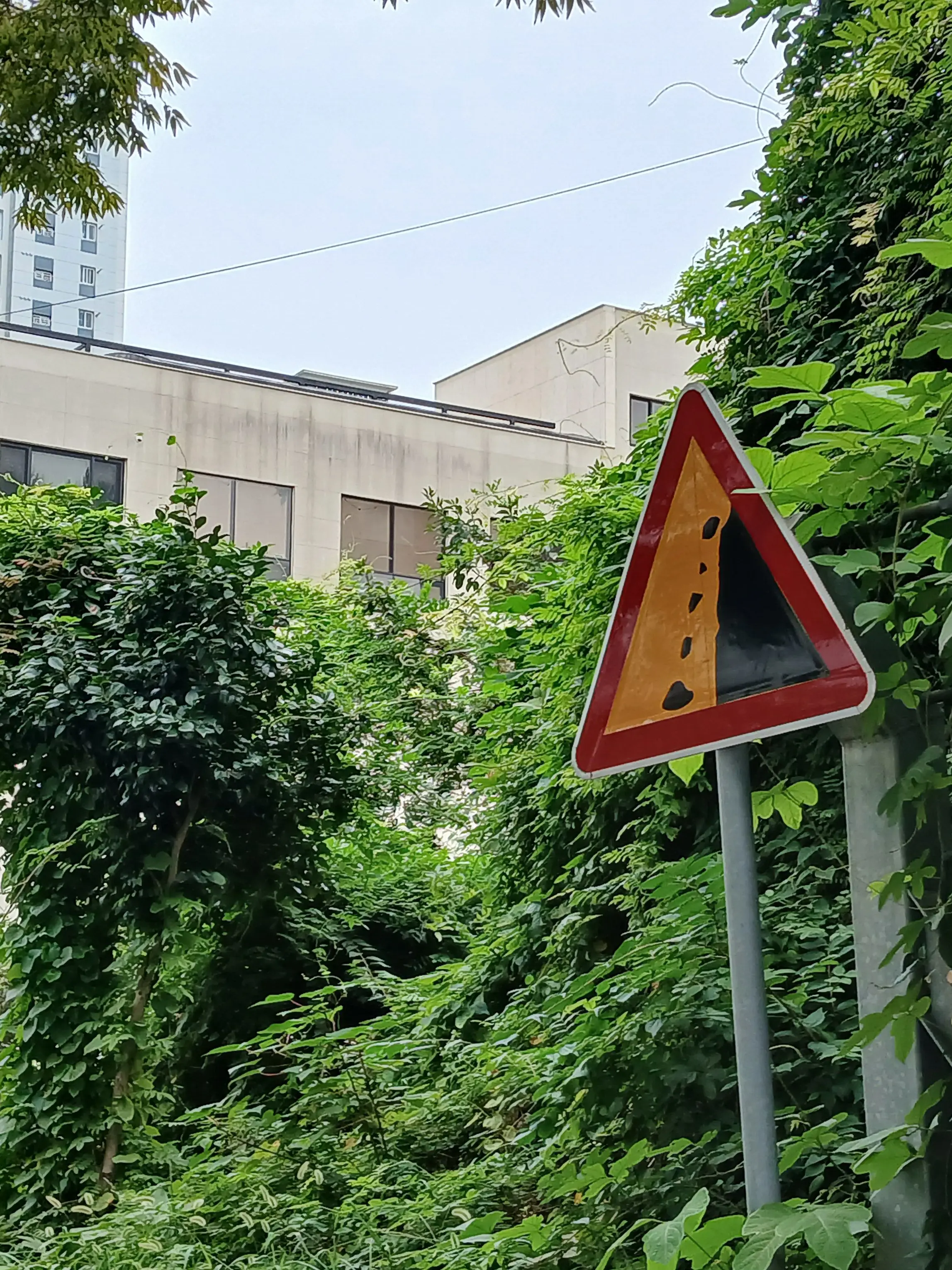 Ruzeruze81의 사진 도용 금지