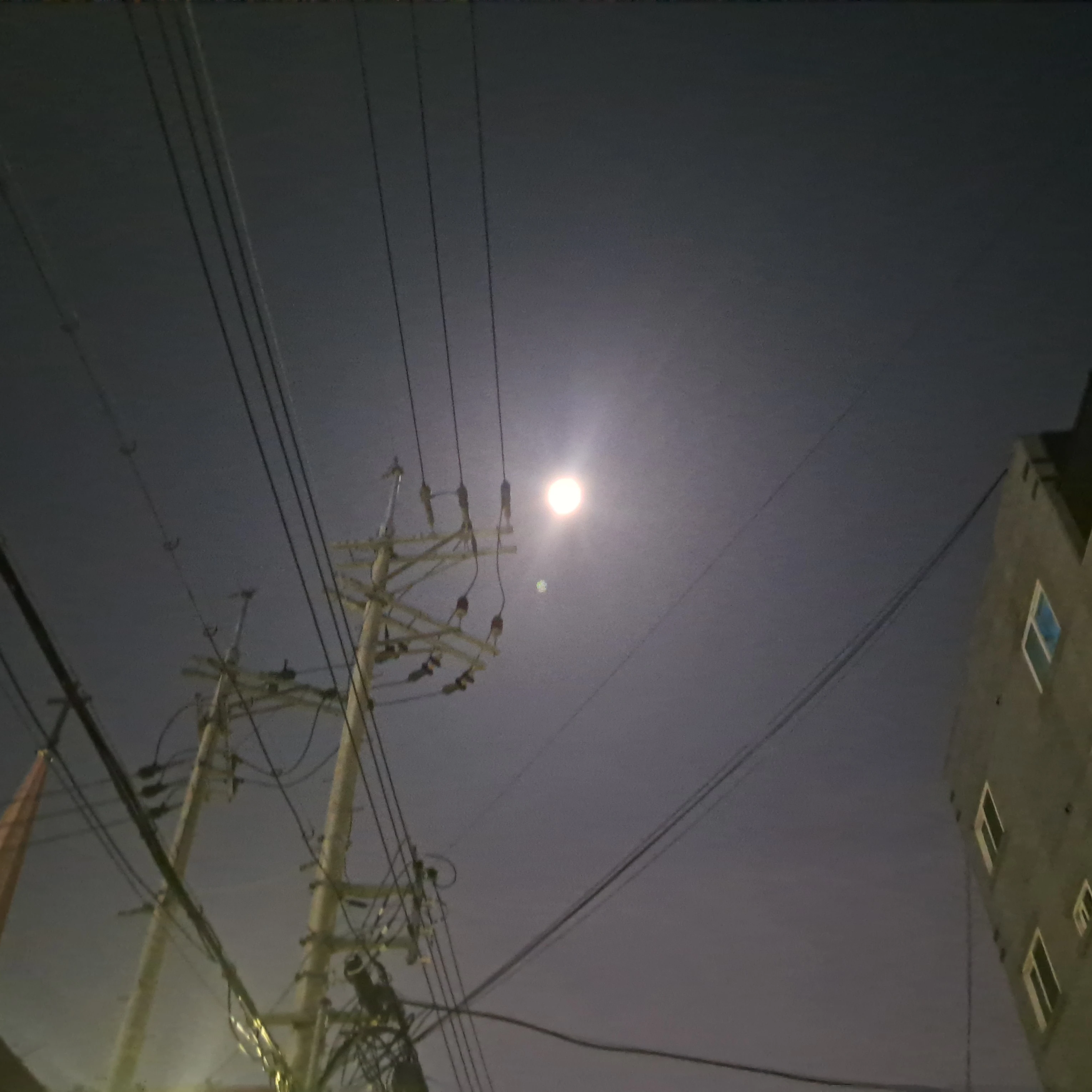 슬라임