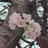 수현 경사