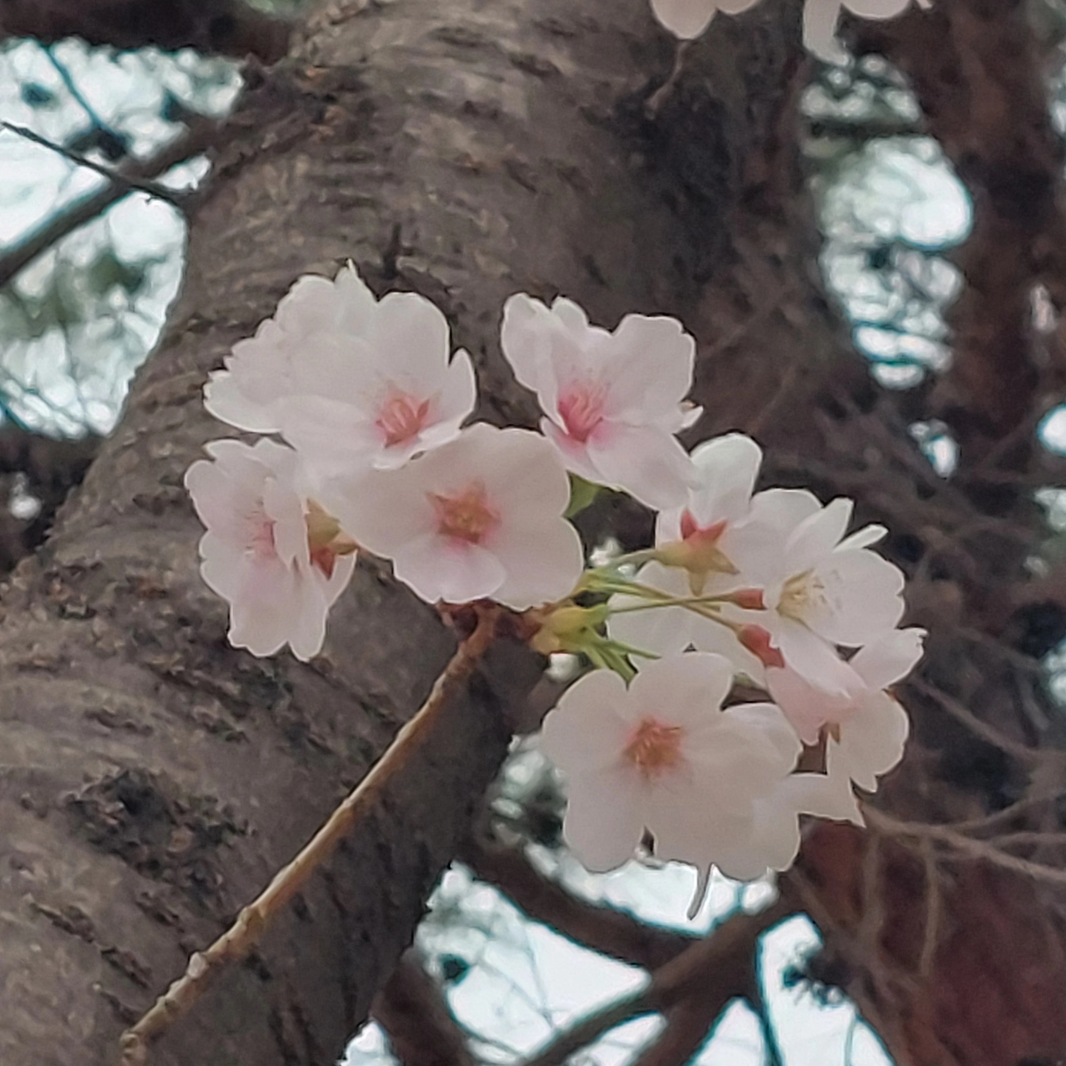 수현 경사