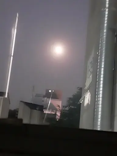 Profile image of 김도령