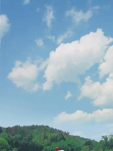 GURUKOSANINN의 「우리 학교는 진짜 바보들뿐이라니까ㅋㅋ」