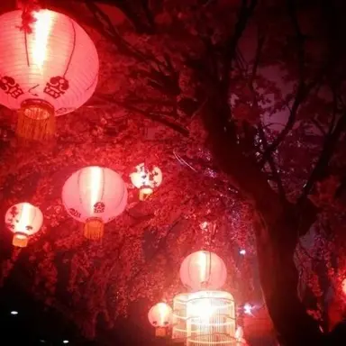 Profile image of 플래그