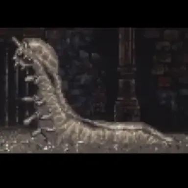 Profile image of 민달팽이