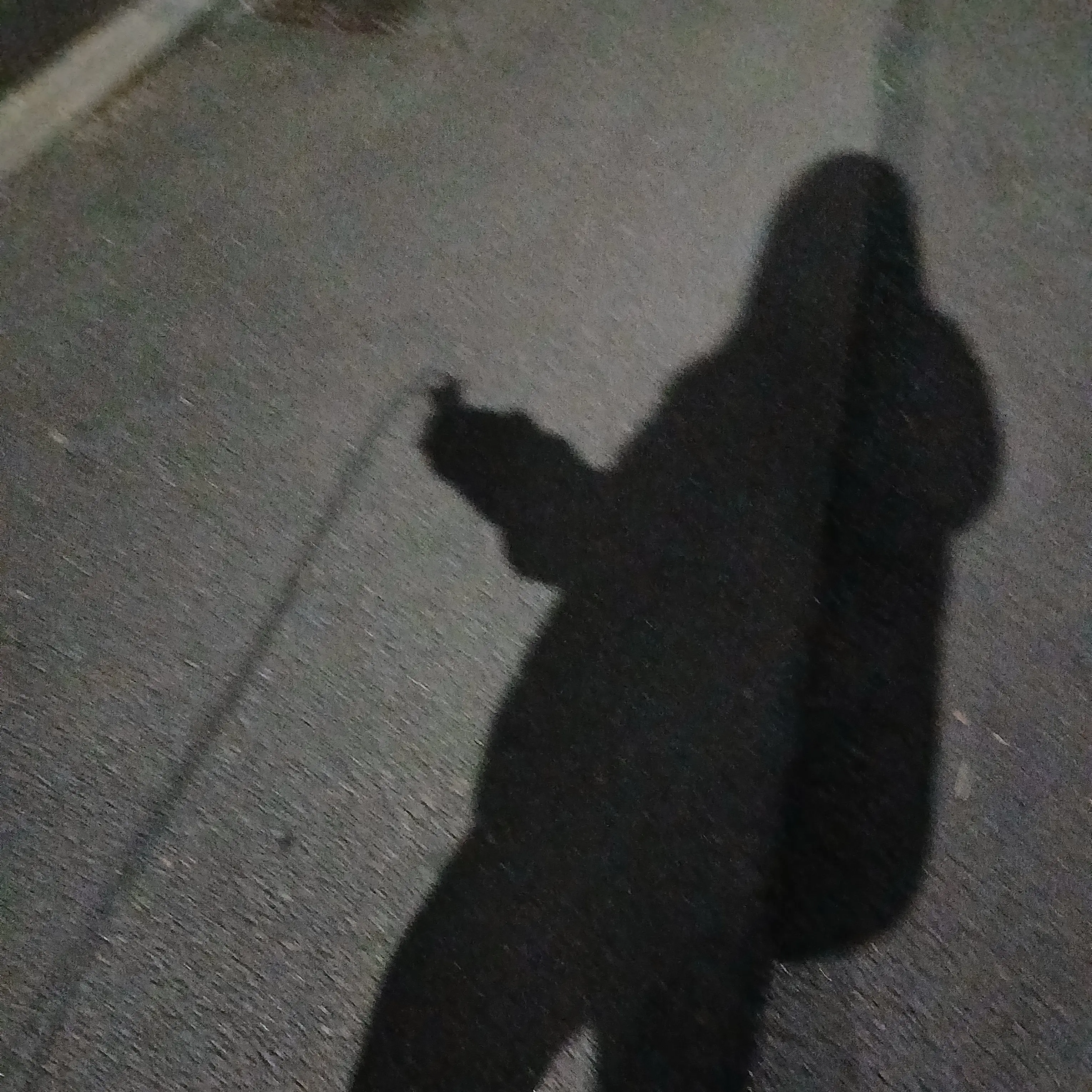 FieryMink1157의 히히 대저택!  집사,료미,현이머,또이,당신,멜로우,로희,푸딩