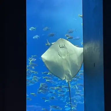 Profile image of 상혁