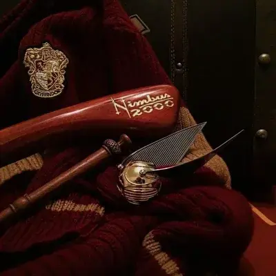 AntsyDisk5094의 Gryffindor