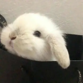 Profile image of ドヨン