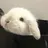 ドヨン