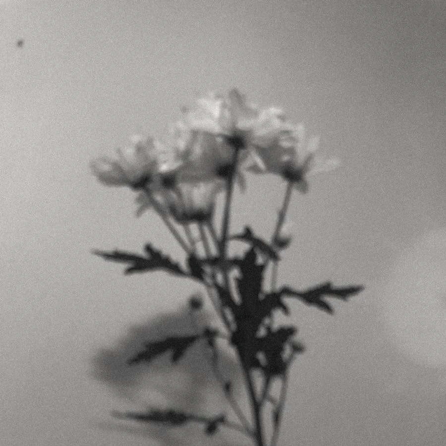 선우