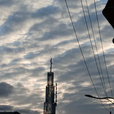 Profile image of 오토 코즈키