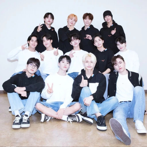 세븐틴가족