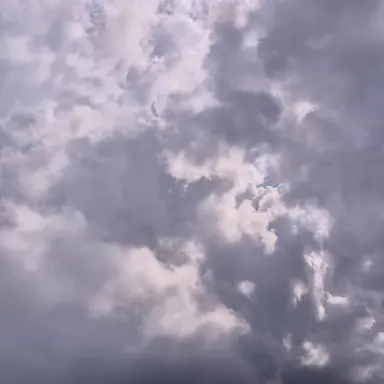 Profile image of 5총사