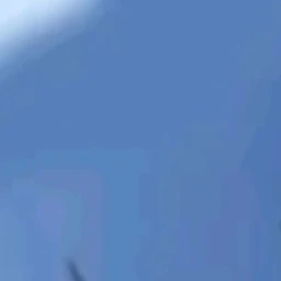 쉐도우밀크