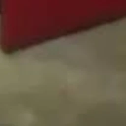 若井滉斗