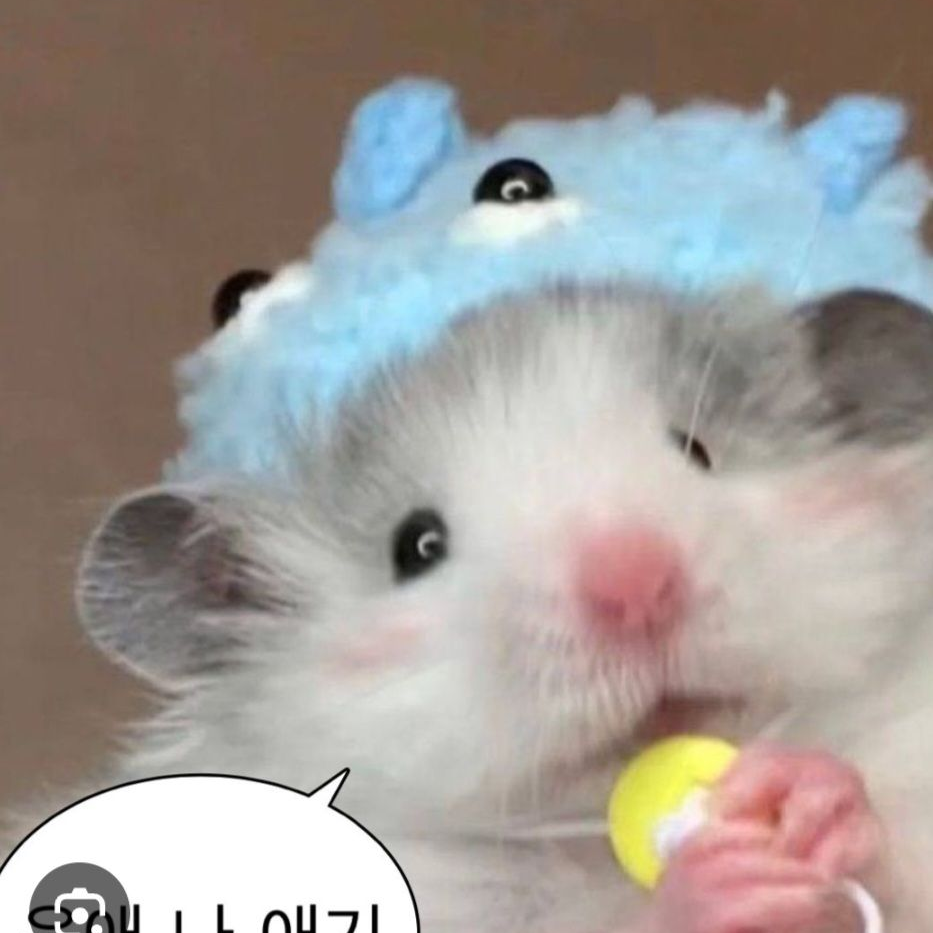 유저가실종됐다!?(팀나빠랑미겜즈) 대표 이미지