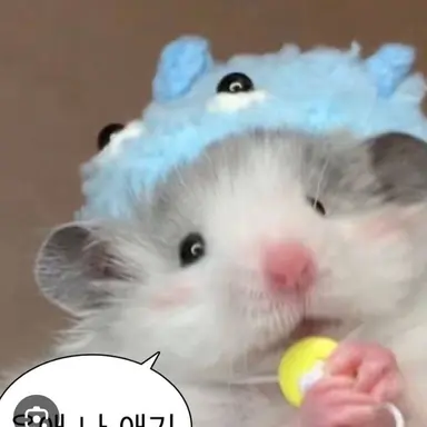 Profile image of 미겜즈