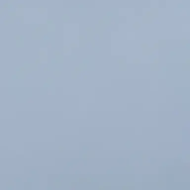 Profile image of SEVENTEEN