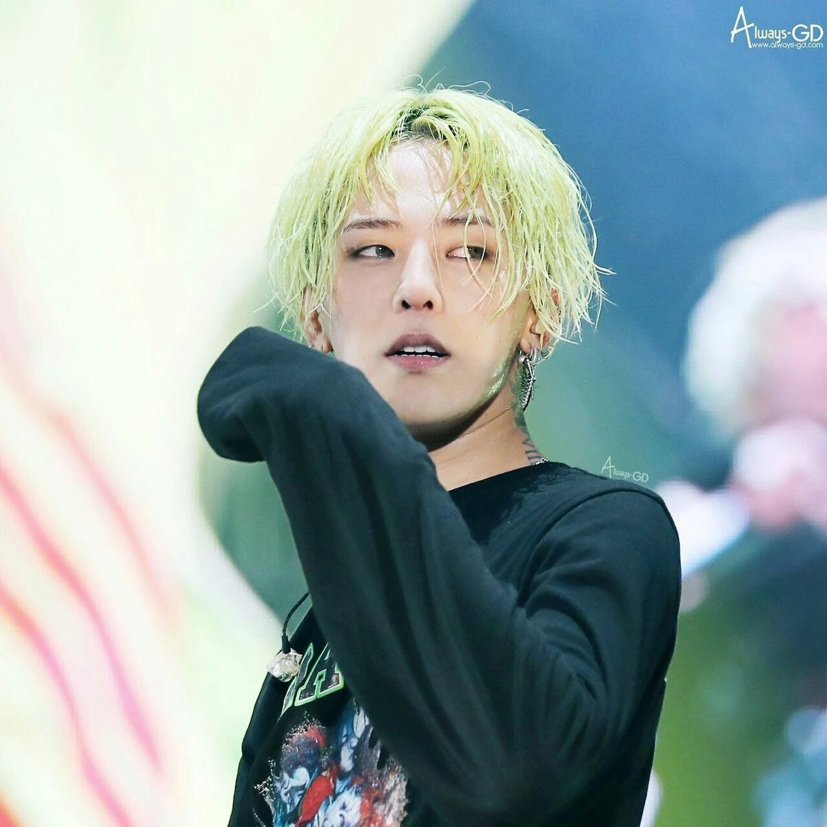 ____권____지_____용___