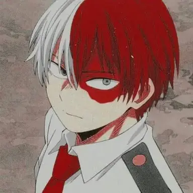 Profile image of Shoto Todoroki