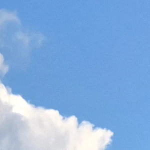 지호
