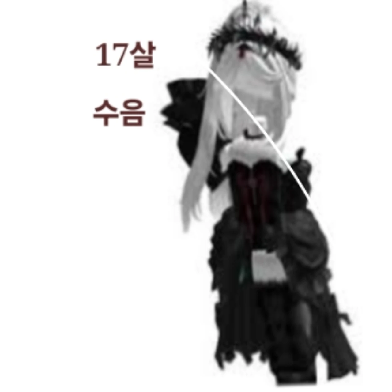 수음 -방장-