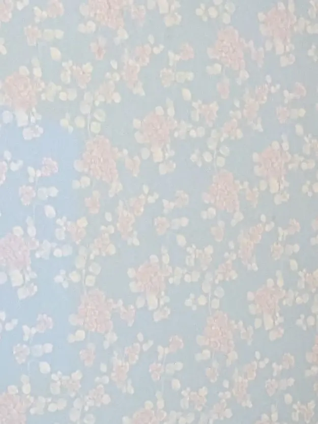 nkm__njfrcr의 見てますよ 〜 ？