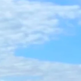 김동현