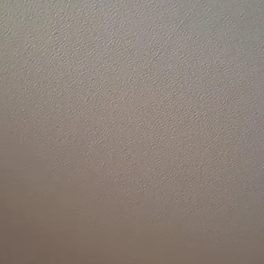 Profile image of 코쵸우 시노부